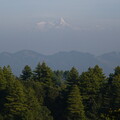 DSCF9203.jpg