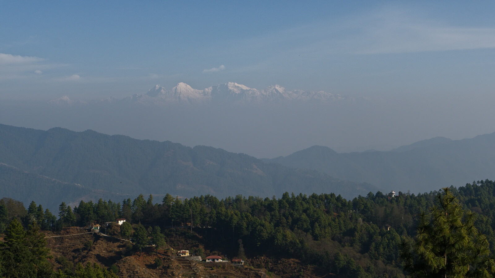 DSCF9207.jpg