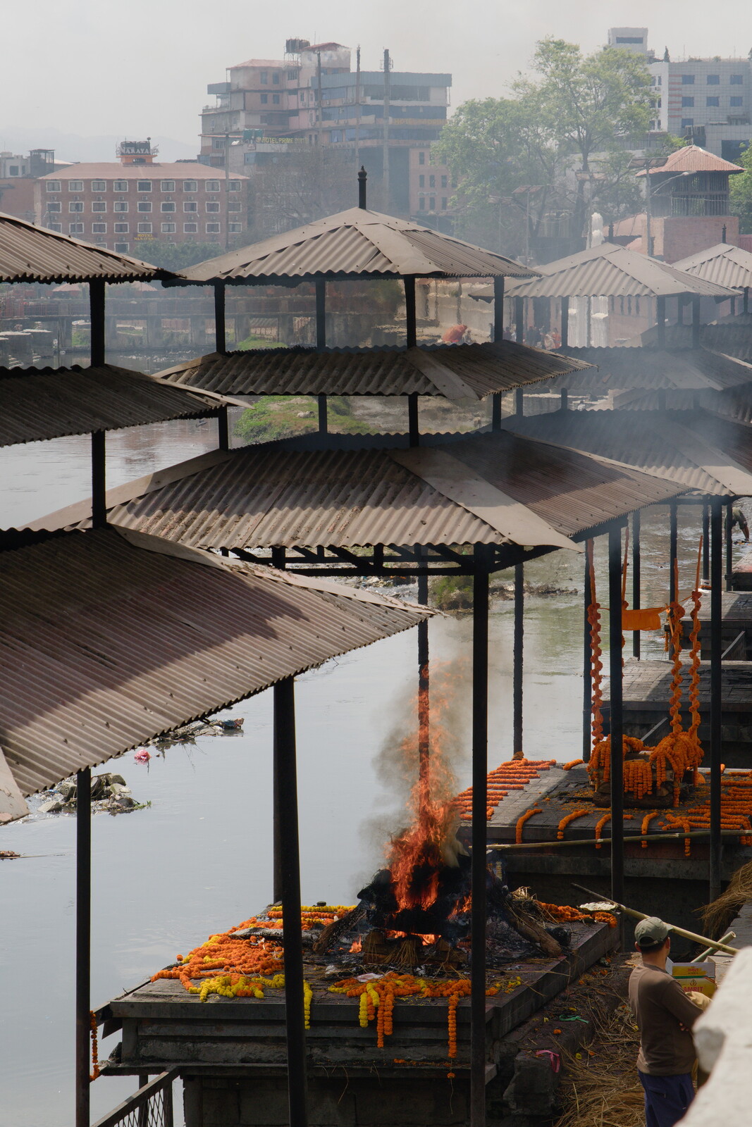 DSCF9329.jpg