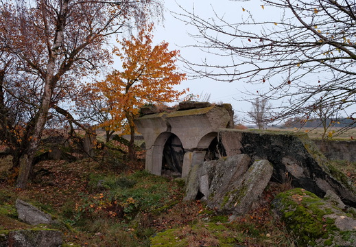 DSCF8319