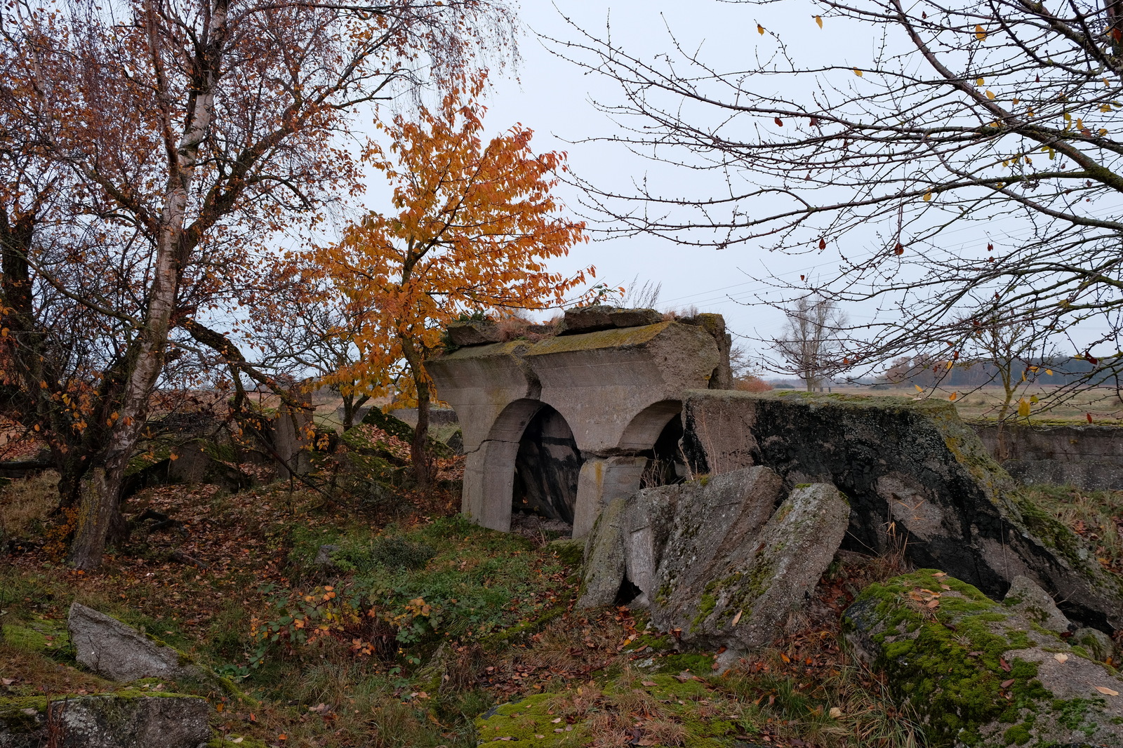 DSCF8319.jpg