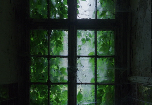 DSCF0553