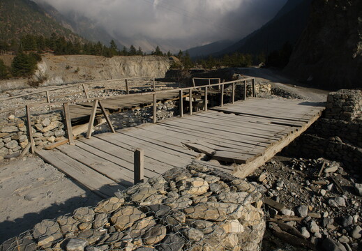 DSCF8835