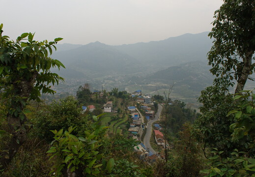 DSCF8866